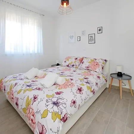 Petra Bibinje