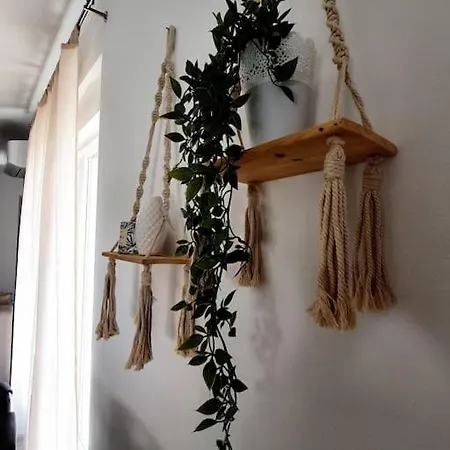 Apartamento Petra *